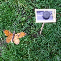 Kit PAPILLON solaire orange 7cm