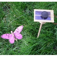 Kit PAPILLON solaire fushia 7cm