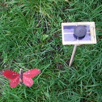 Kit PAPILLON solaire rouge 7cm