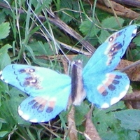 PAPILLON solaire Bleu 7cm Socle incliné