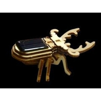 Maquette SCARABEE solaire en bois