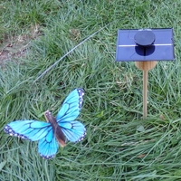 Kit Papillon Solaire Bleu 8cm grande cellule