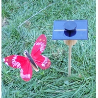 KIT Papillon Solaire Rouge 8cm grande cellule