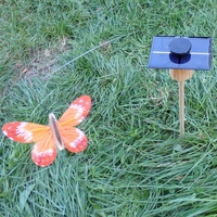 KIT Papillon Solaire Orange 8cm grande cellule