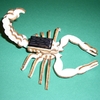 MAQUETTE-EN-BOIS-SCORPION-SOLAIRE